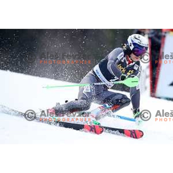Henrik Kristoffersen skiing in the first run of Audi FIS World Cup Slalom for 58. Vitranc Cup in Kranjska Gora, Slovenia on March 10, 2019