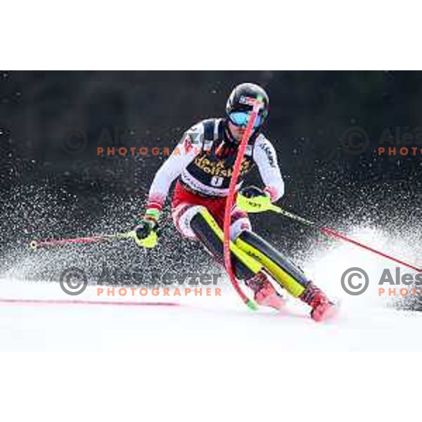 Manuel Feller skiing in the first run of Audi FIS World Cup Slalom for 58. Vitranc Cup in Kranjska Gora, Slovenia on March 10, 2019
