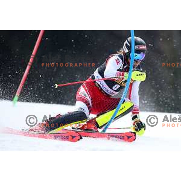 Manuel Feller skiing in the first run of Audi FIS World Cup Slalom for 58. Vitranc Cup in Kranjska Gora, Slovenia on March 10, 2019