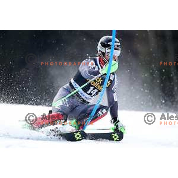 Sebastian Foss-Solevaag skiing in the first run of Audi FIS World Cup Slalom for 58. Vitranc Cup in Kranjska Gora, Slovenia on March 10, 2019