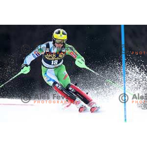 Stefan Hadalin skiing in the first run of Audi FIS World Cup Slalom for 58. Vitranc Cup in Kranjska Gora, Slovenia on March 10, 2019