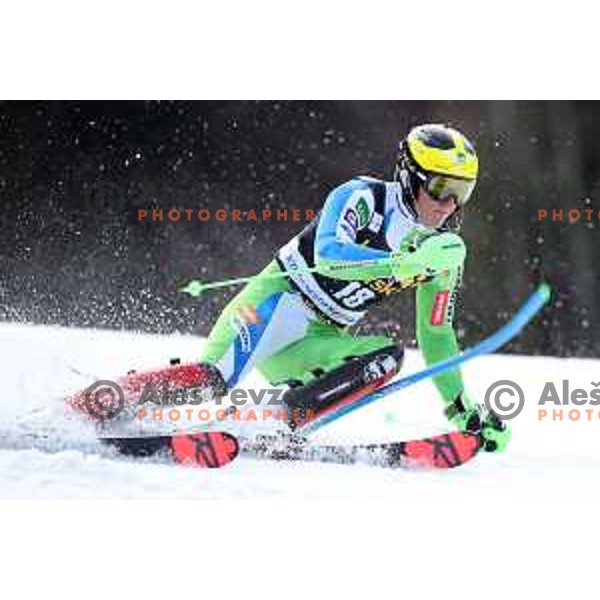 Stefan Hadalin skiing in the first run of Audi FIS World Cup Slalom for 58. Vitranc Cup in Kranjska Gora, Slovenia on March 10, 2019