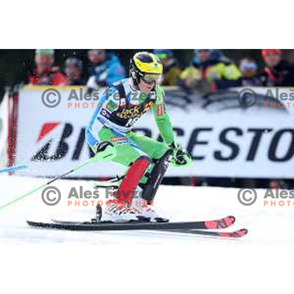 Stefan Hadalin skiing in the first run of Audi FIS World Cup Slalom for 58. Vitranc Cup in Kranjska Gora, Slovenia on March 10, 2019