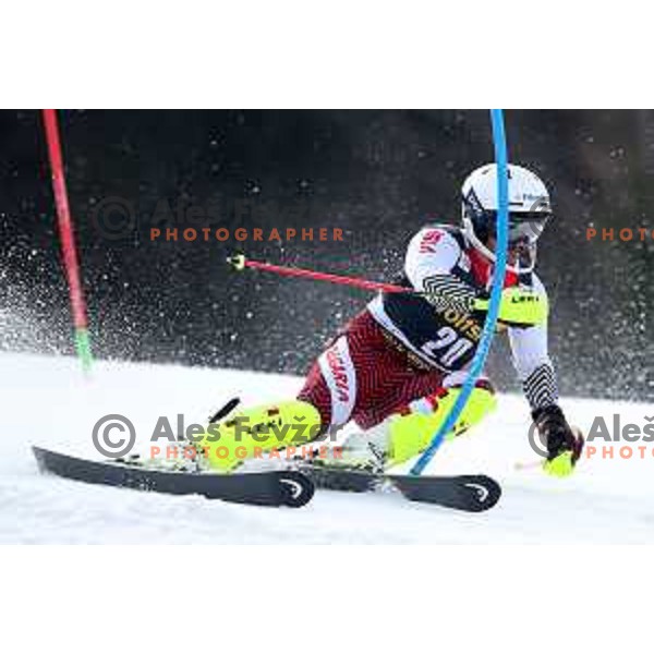 Albert Popov skiing in the first run of Audi FIS World Cup Slalom for 58. Vitranc Cup in Kranjska Gora, Slovenia on March 10, 2019