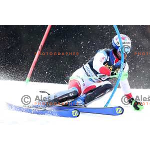 Luca Aerni skiing in the first run of Audi FIS World Cup Slalom for 58. Vitranc Cup in Kranjska Gora, Slovenia on March 10, 2019