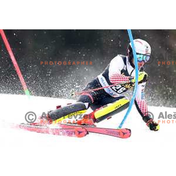 Istok Rodes skiing in the first run of Audi FIS World Cup Slalom for 58. Vitranc Cup in Kranjska Gora, Slovenia on March 10, 2019