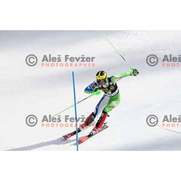 Stefan Hadalin reacts in finsih arena after Audi FIS World Cup Slalom for 58. Vitranc Cup in Kranjska Gora, Slovenia on March 10, 2019