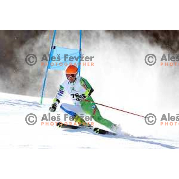 Giant Slalom at Europa Cup Finals in Kranjska gora, Slovenia on March 11, 2019