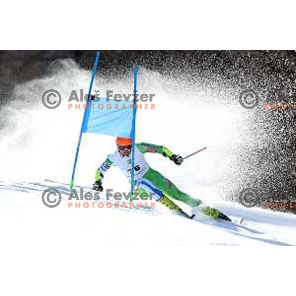 Giant Slalom at Europa Cup Finals in Kranjska gora, Slovenia on March 11, 2019