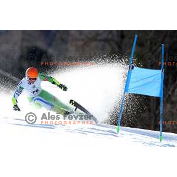 Giant Slalom at Europa Cup Finals in Kranjska gora, Slovenia on March 11, 2019