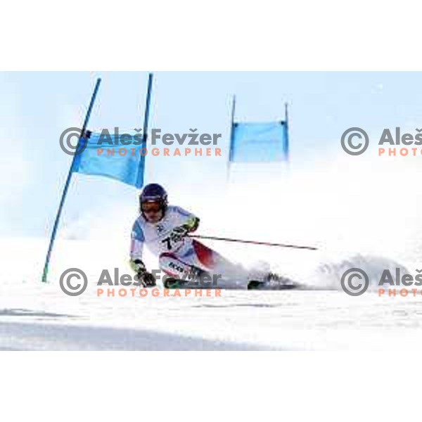 Giant Slalom at Europa Cup Finals in Kranjska gora, Slovenia on March 11, 2019