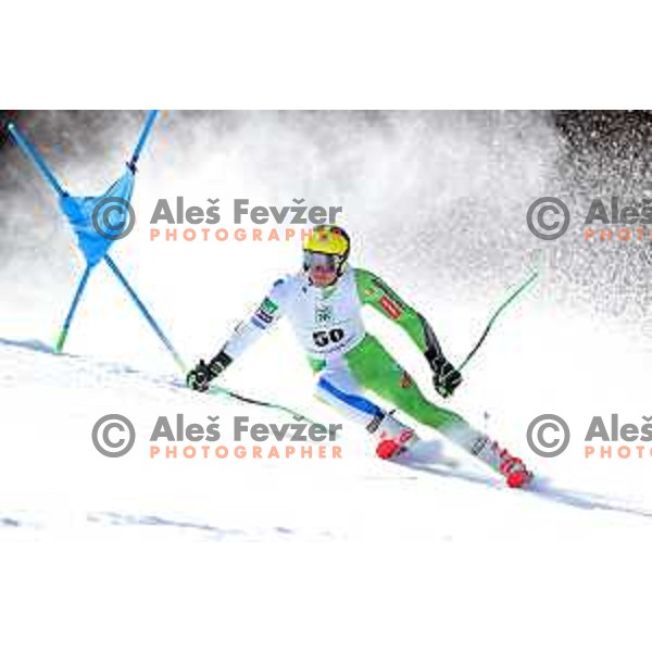 Stefan Hadalin skiing in first run of Giant Slalom at Europa Cup Finals in Kranjska gora, Slovenia on March 11, 2019