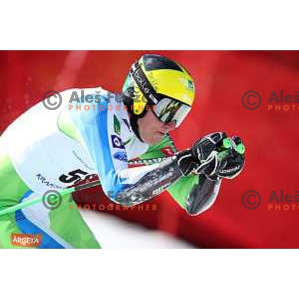 Stefan Hadalin skiing in first run of Giant Slalom at Europa Cup Finals in Kranjska gora, Slovenia on March 11, 2019
