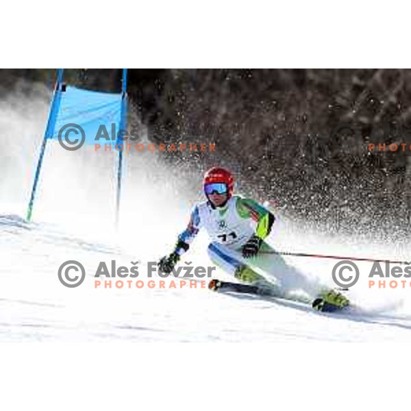 Giant Slalom at Europa Cup Finals in Kranjska gora, Slovenia on March 11, 2019