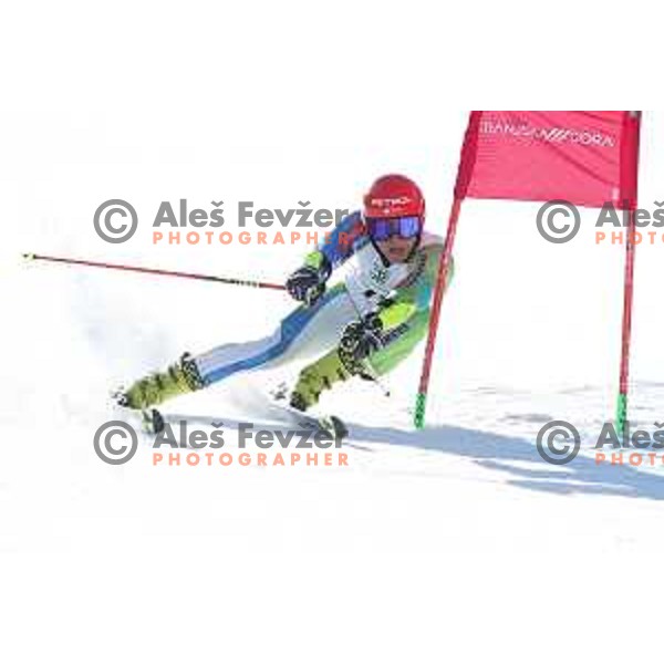 Giant Slalom at Europa Cup Finals in Kranjska gora, Slovenia on March 11, 2019