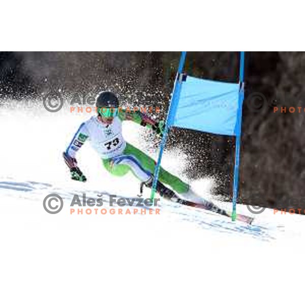 Giant Slalom at Europa Cup Finals in Kranjska gora, Slovenia on March 11, 2019