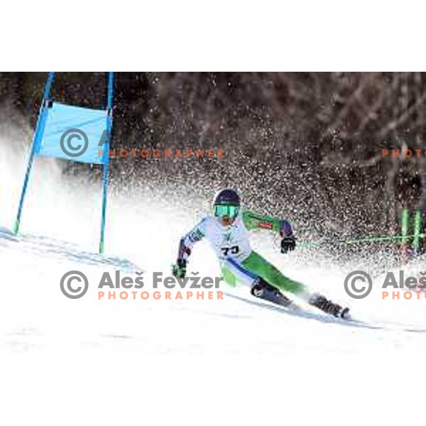Giant Slalom at Europa Cup Finals in Kranjska gora, Slovenia on March 11, 2019