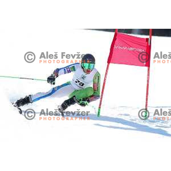 Giant Slalom at Europa Cup Finals in Kranjska gora, Slovenia on March 11, 2019