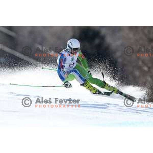 Giant Slalom at Europa Cup Finals in Kranjska gora, Slovenia on March 11, 2019