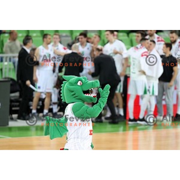 action during Nova KBM league basketball match between Petrol Olimpija and Helios suns in Stozice, Ljubljana, Slovenia on March 14, 2019