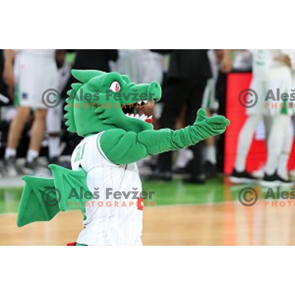 action during Nova KBM league basketball match between Petrol Olimpija and Helios suns in Stozice, Ljubljana, Slovenia on March 14, 2019