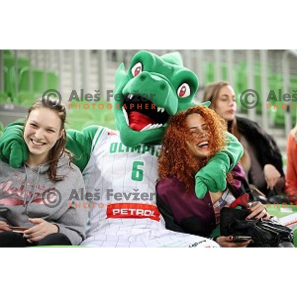 action during Nova KBM league basketball match between Petrol Olimpija and Helios suns in Stozice, Ljubljana, Slovenia on March 14, 2019