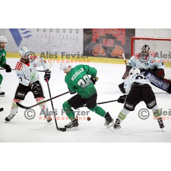 Gregor Koblar of SZ Olimpija in action during quarter-final of Alps League between SZ Olimpija and Rittner Baum in Tivoli Hall, Ljubljana on March 18, 2019