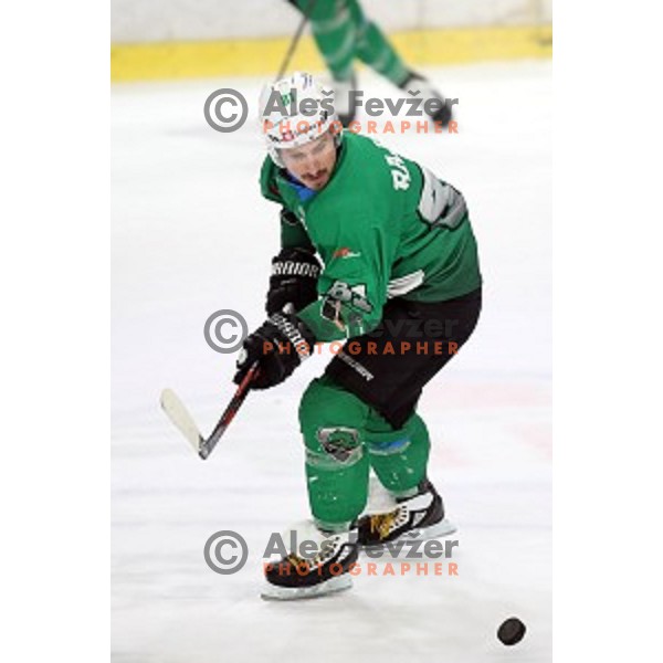 Saso Rajsar of SZ Olimpija in action during quarter-final of Alps League between SZ Olimpija and Rittner Baum in Tivoli Hall, Ljubljana on March 18, 2019