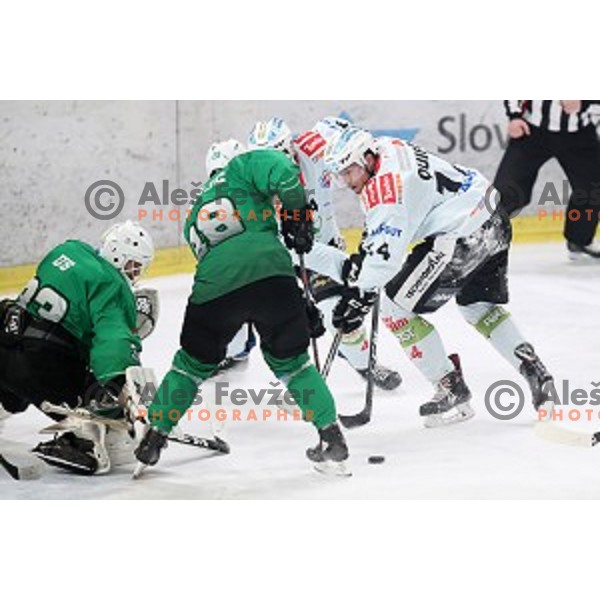 Zan Us of SZ Olimpija in action during quarter-final of Alps League between SZ Olimpija and Rittner Baum in Tivoli Hall, Ljubljana on March 18, 2019