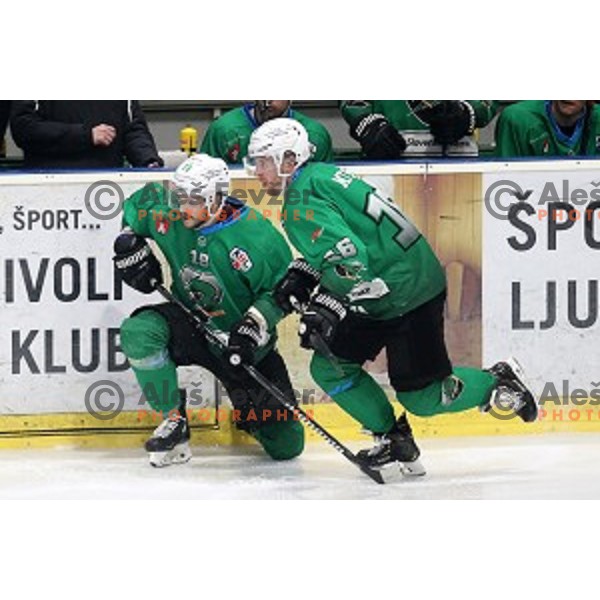 Gal Koren and Ales Music of SZ Olimpija in action during quarter-final of Alps League between SZ Olimpija and Rittner Baum in Tivoli Hall, Ljubljana on March 18, 2019