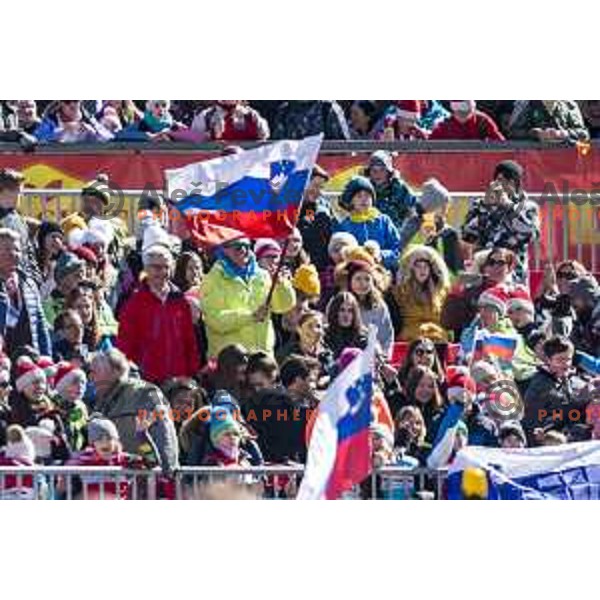 Borut Pahor cheering at Qualification for Ski flying individual at World Cup Ski Jumping Final in Planica, Slovenia on March 21, 2019