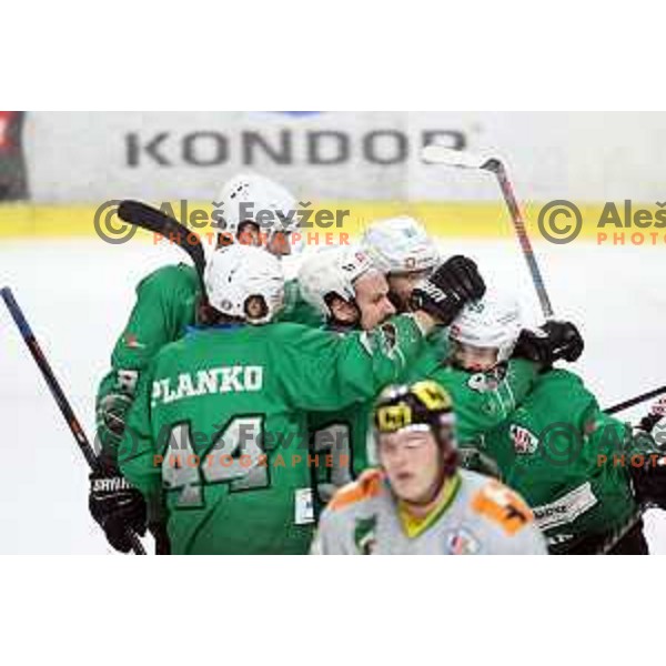 Saso Rajsar of SZ Olimpija in action during semi-final of Alps League ice-hockey match between SZ Olimpija and Lustenau in Tivoli Hall, Ljubljana, Slovenia on April 5, 201