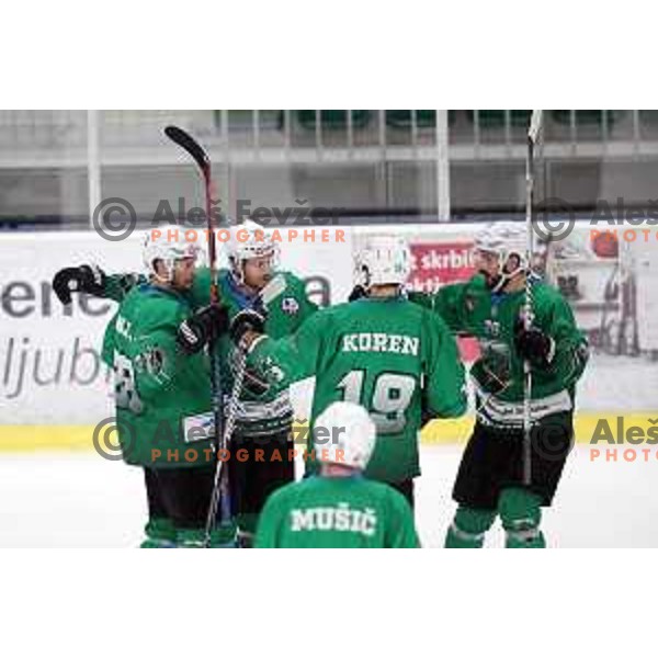 of SZ Olimpija in action during semi-final of Alps League ice-hockey match between SZ Olimpija and Lustenau in Tivoli Hall, Ljubljana, Slovenia on April 5, 2019