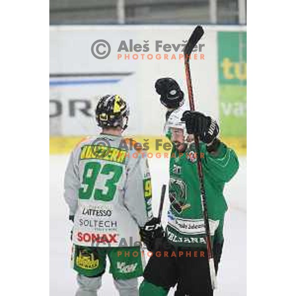 Gregor Koblar of SZ Olimpija in action during semi-final of Alps League ice-hockey match between SZ Olimpija and Lustenau in Tivoli Hall, Ljubljana, Slovenia on April 5, 201