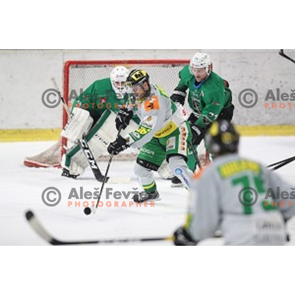 of SZ Olimpija in action during semi-final of Alps League ice-hockey match between SZ Olimpija and Lustenau in Tivoli Hall, Ljubljana, Slovenia on April 5, 201