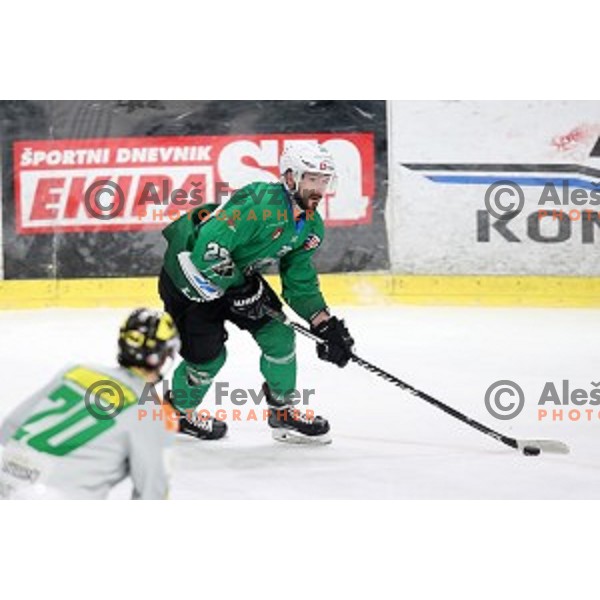 Ziga Pesut of SZ Olimpija in action during semi-final of Alps League ice-hockey match between SZ Olimpija and Lustenau in Tivoli Hall, Ljubljana, Slovenia on April 5, 201