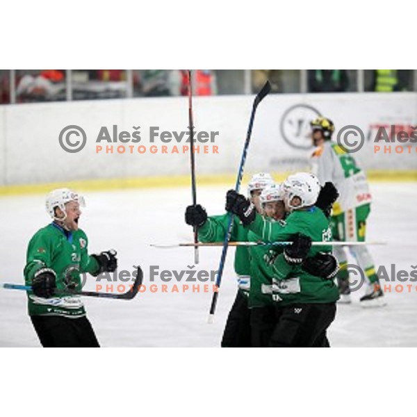 of SZ Olimpija in action during semi-final of Alps League ice-hockey match between SZ Olimpija and Lustenau in Tivoli Hall, Ljubljana, Slovenia on April 5, 201