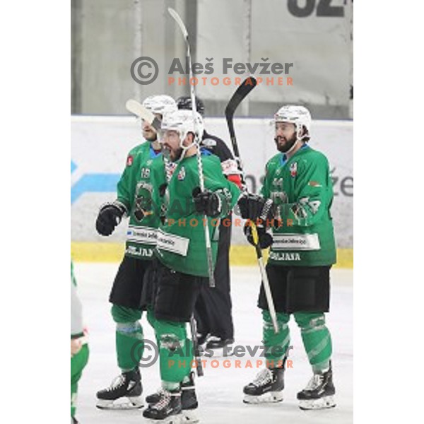Ziga Pesut of SZ Olimpija in action during semi-final of Alps League ice-hockey match between SZ Olimpija and Lustenau in Tivoli Hall, Ljubljana, Slovenia on April 5, 201