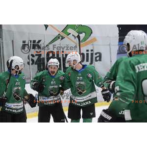 Saso Rajsar of SZ Olimpija in action during Final of Alps League ice-hockey match between SZ Olimpija and Pustertal in Tivoli Hall, Ljubljana, Slovenia on April 14, 2019