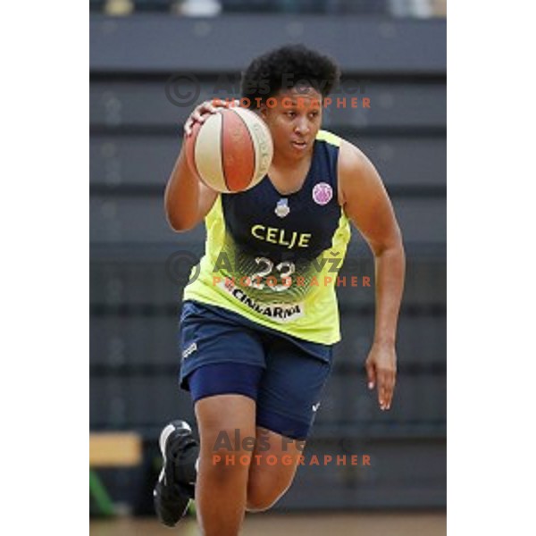 action during first match of the Final of Slovenian Women\'s basketball league between Cinkarna Celje and Triglav Kranj in Celje, Slovenia on April 18, 2019