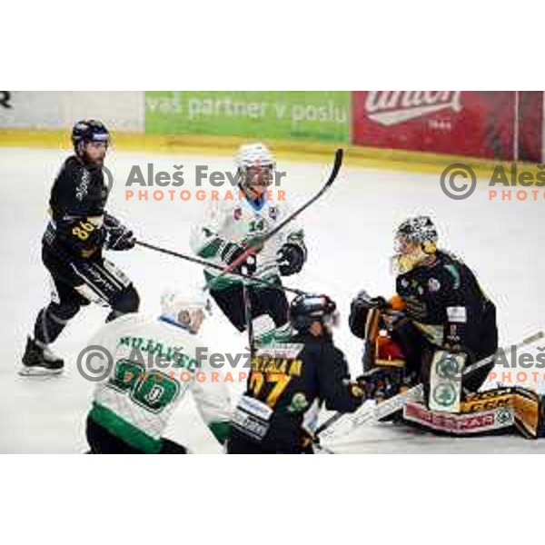 action during Final of Alps league between Olimpija and Pustertal in Tivoli Hall, Ljubljana on April 19, 2019