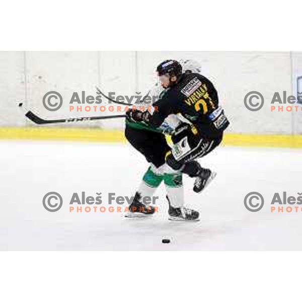 action during Final of Alps league between Olimpija and Pustertal in Tivoli Hall, Ljubljana on April 19, 2019