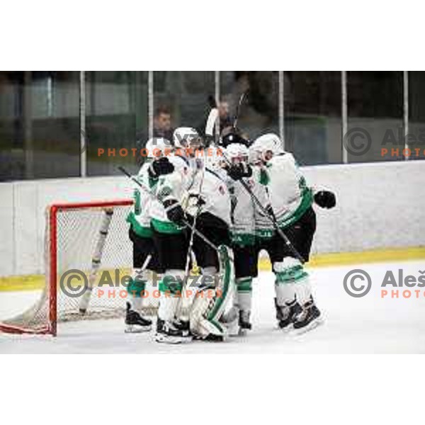 action during Final of Alps league between Olimpija and Pustertal in Tivoli Hall, Ljubljana on April 19, 2019