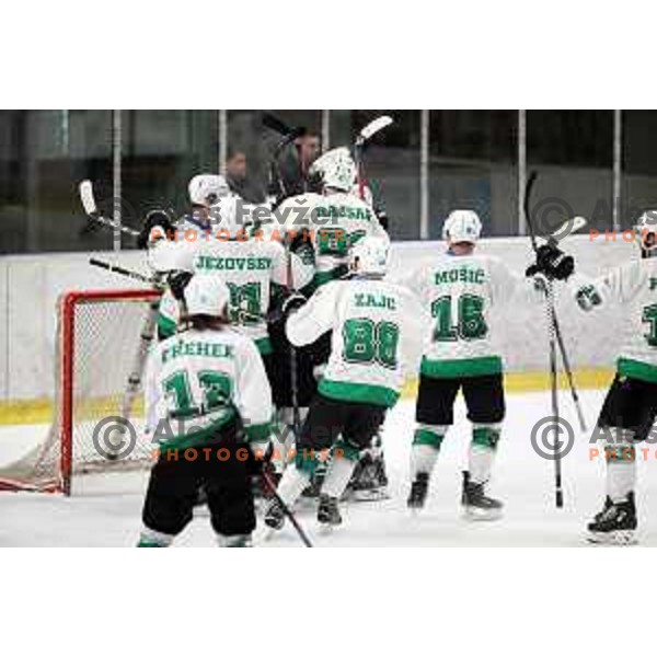action during Final of Alps league between Olimpija and Pustertal in Tivoli Hall, Ljubljana on April 19, 2019