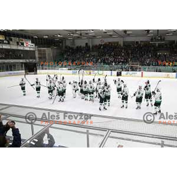 action during Final of Alps league between Olimpija and Pustertal in Tivoli Hall, Ljubljana on April 19, 2019