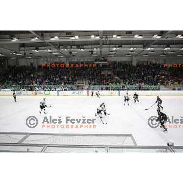 action during Final of Alps league between Olimpija and Pustertal in Tivoli Hall, Ljubljana on April 19, 2019