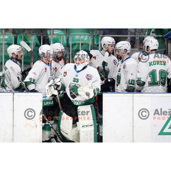 of SZ Olimpija in action during Final of Alps league between Olimpija and Pustertal in Tivoli Hall, Ljubljana on April 19, 2019