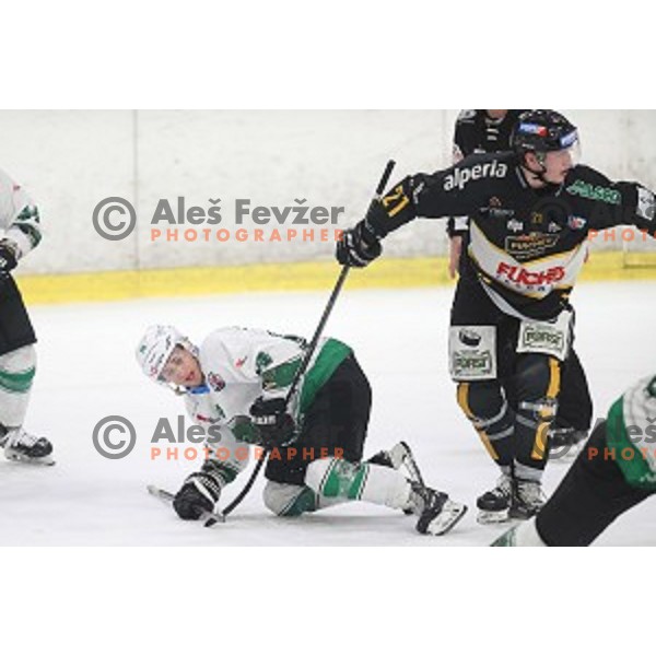 of SZ Olimpija in action during Final of Alps league between Olimpija and Pustertal in Tivoli Hall, Ljubljana on April 19, 2019