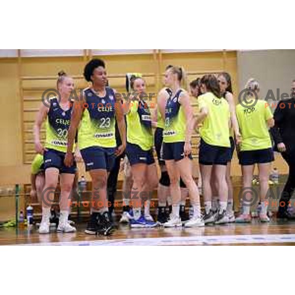 action during third match of the Final of Slovenian Women\'s basketball league between Cinkarna Celje and Triglav Kranj in Celje, Slovenia on April 23, 2019