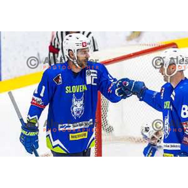 Anze Kopitar in action during friendly Ice-Hockey match between Slovenia and Italy in Bled Ice Hall, Slovenia on April 24, 2019